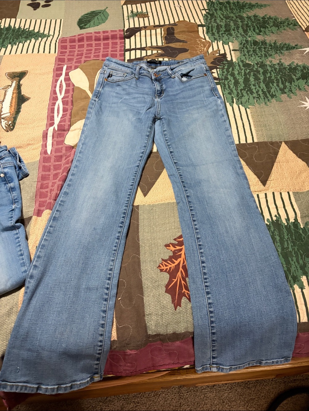 Judy Blue 2 pairs, leather stains